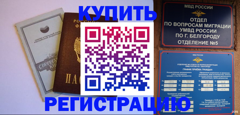 прописка гарантия в Губкинском